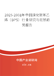 2025-2031年中國(guó)溴化聚苯乙烯（BPS）行業(yè)研究與前景趨勢(shì)報(bào)告