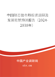 中國硅芯管市場現(xiàn)狀調(diào)研及發(fā)展前景預(yù)測報告（2024-2030年）