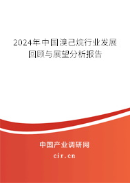 2024年中國溴己烷行業(yè)發(fā)展回顧與展望分析報告