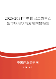 2024-2030年中國己二酸單乙酯市場現(xiàn)狀與發(fā)展前景報(bào)告