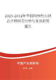 2025-2031年中國(guó)特種耐火制品市場(chǎng)研究分析與發(fā)展趨勢(shì)報(bào)告