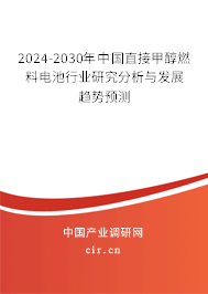 2024-2030年中國(guó)直接甲醇燃料電池行業(yè)研究分析與發(fā)展趨勢(shì)預(yù)測(cè)