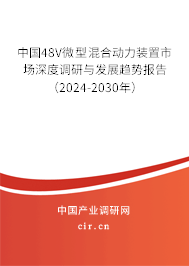 中國(guó)48V微型混合動(dòng)力裝置市場(chǎng)深度調(diào)研與發(fā)展趨勢(shì)報(bào)告（2024-2030年）