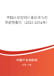 中國大型型鋼行業(yè)現(xiàn)狀與前景趨勢報告（2024-2030年）