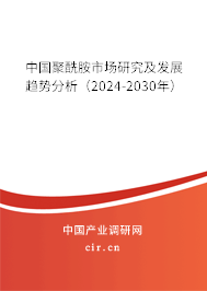 中國聚酰胺市場研究及發(fā)展趨勢分析（2024-2030年）