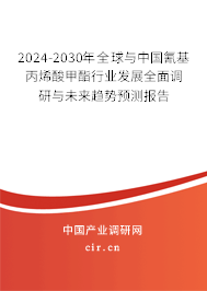 2024-2030年全球與中國氰基丙烯酸甲酯行業(yè)發(fā)展全面調研與未來趨勢預測報告