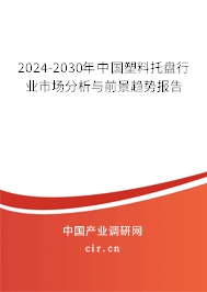 2024-2030年中國塑料托盤行業(yè)市場分析與前景趨勢報告