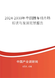 2024-2030年中國(guó)推車(chē)機(jī)市場(chǎng)現(xiàn)狀與發(fā)展前景報(bào)告