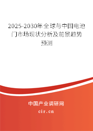 2025-2030年全球與中國電池門市場現(xiàn)狀分析及前景趨勢預(yù)測