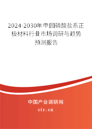 2024-2030年中國磷酸鹽系正極材料行業(yè)市場(chǎng)調(diào)研與趨勢(shì)預(yù)測(cè)報(bào)告