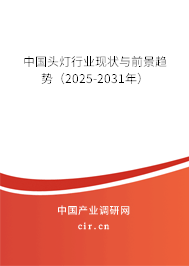 中國頭燈行業(yè)現(xiàn)狀與前景趨勢（2024-2030年）