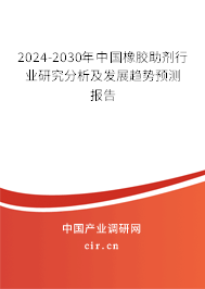 2024-2030年中國橡膠助劑行業(yè)研究分析及發(fā)展趨勢預(yù)測報(bào)告