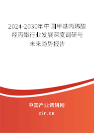 2024-2030年中國(guó)甲基丙烯酸羥丙酯行業(yè)發(fā)展深度調(diào)研與未來(lái)趨勢(shì)報(bào)告