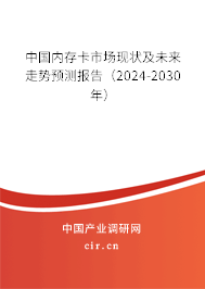 中國(guó)內(nèi)存卡市場(chǎng)現(xiàn)狀及未來(lái)走勢(shì)預(yù)測(cè)報(bào)告（2024-2030年）