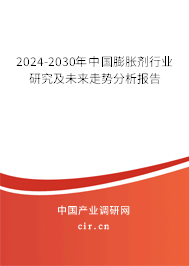 2024-2030年中國(guó)膨脹劑行業(yè)研究及未來(lái)走勢(shì)分析報(bào)告