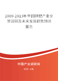 2009-2013年中國鉀肥產業(yè)全景調研及未來發(fā)展趨勢預測報告