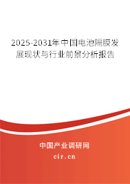 2025-2031年中國電池隔膜發(fā)展現狀與行業(yè)前景分析報告