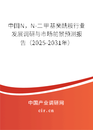 中國N，N-二甲基癸酰胺行業(yè)發(fā)展調(diào)研與市場前景預(yù)測報告（2025-2031年）