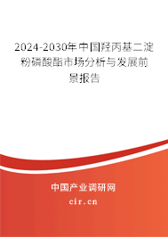 2024-2030年中國(guó)羥丙基二淀粉磷酸酯市場(chǎng)分析與發(fā)展前景報(bào)告