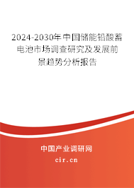 2024-2030年中國(guó)儲(chǔ)能鉛酸蓄電池市場(chǎng)調(diào)查研究及發(fā)展前景趨勢(shì)分析報(bào)告