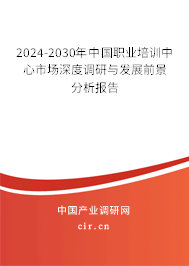 2024-2030年中國(guó)職業(yè)培訓(xùn)中心市場(chǎng)深度調(diào)研與發(fā)展前景分析報(bào)告