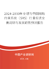 2024-2030年全球與中國輔助約束系統(tǒng)（SRS）行業(yè)現(xiàn)狀全面調(diào)研與發(fā)展趨勢預(yù)測報告