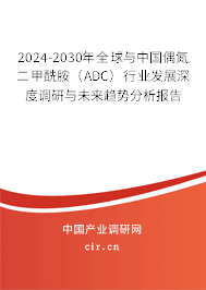 2024-2030年全球與中國(guó)偶氮二甲酰胺（ADC）行業(yè)發(fā)展深度調(diào)研與未來(lái)趨勢(shì)分析報(bào)告