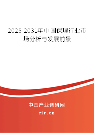 2025-2031年中國(guó)保理行業(yè)市場(chǎng)分析與發(fā)展前景