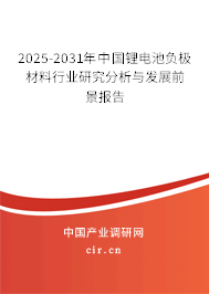 2025-2031年中國(guó)鋰電池負(fù)極材料行業(yè)研究分析與發(fā)展前景報(bào)告