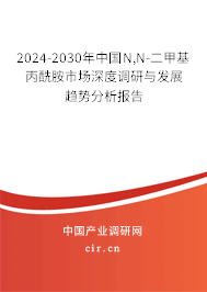 2024-2030年中國N,N-二甲基丙酰胺市場深度調(diào)研與發(fā)展趨勢分析報告