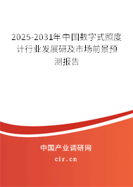 2025-2031年中國數(shù)字式照度計(jì)行業(yè)發(fā)展研及市場前景預(yù)測報(bào)告