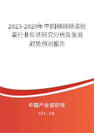 2023-2029年中國胰酶腸溶膠囊行業(yè)現狀研究分析及發(fā)展趨勢預測報告