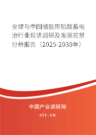 全球與中國儲能用鉛酸蓄電池行業(yè)現(xiàn)狀調(diào)研及發(fā)展前景分析報告（2025-2030年）