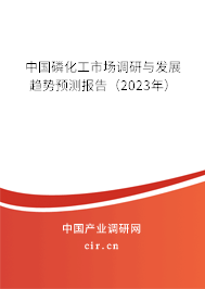 中國磷化工市場調(diào)研與發(fā)展趨勢預(yù)測報(bào)告（2023年）