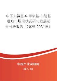 中國2-氨基-6-甲氧基-3-硝基吡啶市場現(xiàn)狀調(diào)研與發(fā)展前景分析報告（2025-2031年）