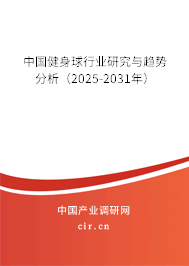 中國健身球行業(yè)研究與趨勢分析（2025-2031年）