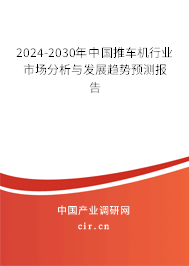 2024-2030年中國(guó)推車(chē)機(jī)行業(yè)市場(chǎng)分析與發(fā)展趨勢(shì)預(yù)測(cè)報(bào)告