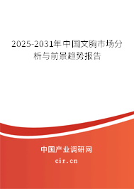 2025-2031年中國(guó)文胸市場(chǎng)分析與前景趨勢(shì)報(bào)告