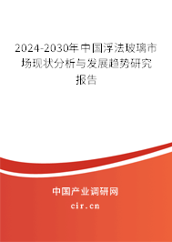 2024-2030年中國浮法玻璃市場現(xiàn)狀分析與發(fā)展趨勢研究報告