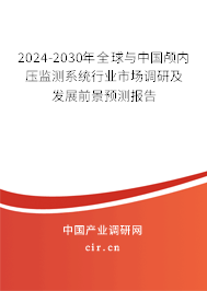 2024-2030年全球與中國顱內(nèi)壓監(jiān)測系統(tǒng)行業(yè)市場調(diào)研及發(fā)展前景預(yù)測報告