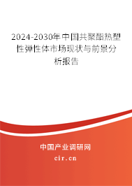 2024-2030年中國(guó)共聚酯熱塑性彈性體市場(chǎng)現(xiàn)狀與前景分析報(bào)告