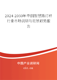 2024-2030年中國智慧路燈桿行業(yè)市場調研與前景趨勢報告