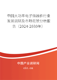 中國大功率電子微器件行業(yè)發(fā)展調(diào)研及市場(chǎng)前景分析報(bào)告（2024-2030年）