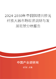 2024-2030年中國鉺鐿共摻光纖放大器市場現(xiàn)狀調(diào)研與發(fā)展前景分析報告