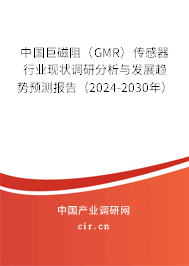 中國(guó)巨磁阻（GMR）傳感器行業(yè)現(xiàn)狀調(diào)研分析與發(fā)展趨勢(shì)預(yù)測(cè)報(bào)告（2024-2030年）