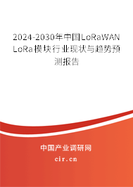 2024-2030年中國(guó)LoRaWAN LoRa模塊行業(yè)現(xiàn)狀與趨勢(shì)預(yù)測(cè)報(bào)告