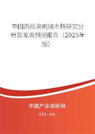 中國丙綸滾刷絨市場研究分析及發(fā)展預(yù)測報告（2025年版）