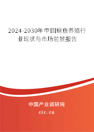 2024-2030年中國(guó)鱖魚(yú)養(yǎng)殖行業(yè)現(xiàn)狀與市場(chǎng)前景報(bào)告