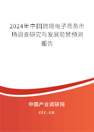 2024年中國跨境電子商務(wù)市場調(diào)查研究與發(fā)展前景預(yù)測報(bào)告