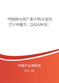 中國靜電膜產(chǎn)業(yè)市場深度研究分析報告（2024年版）